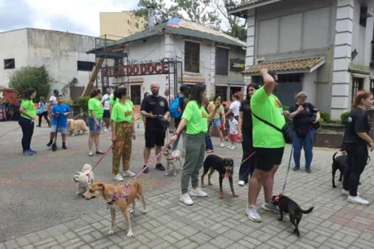 Primeira Cãominhada do Colégio São José promove saúde e bem-estar neste domingo (12)