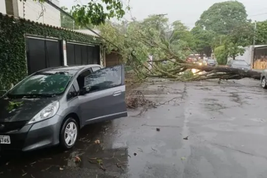 SP: Centro de Gerenciamento de Emergências alerta para ventos com mais de 60 km/h no sábado (18)