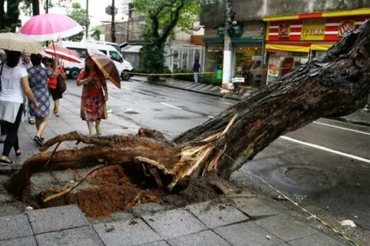 Ciclone no Sul e frente fria provocaram temporal com rajadas de vento de até 100 km/h em SP