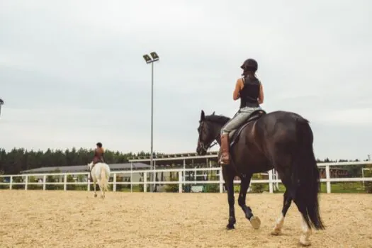 Vereadores de SP votam projeto que proíbe corrida de cavalo com apostas