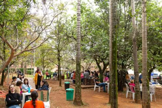 Festival Criativo acontece neste final de semana no Parque Ibirapuera 