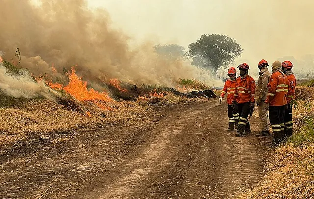 BRAZIL-PANTANAL-ENVIRONMENT-FIRE-DROUGHT