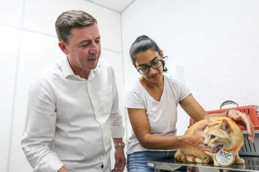 Hospital veterinário de São Bernardo chega ao centésimo atendimento ambulatorial