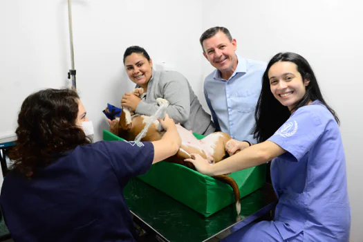 Hospital veterinário de São Bernardo completa um mês com 551 animais atendidos