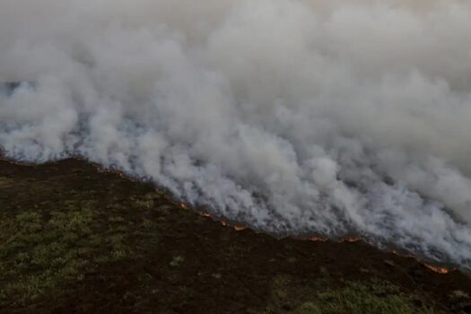 Governo vai liberar R$ 100 milhões para combate a incêndios no Pantanal