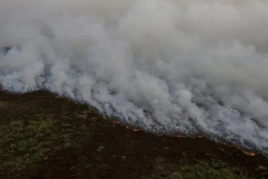 Brigadistas intensificam trabalho de combate a incêndios no Pantanal