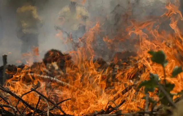 incendio-no-pantanal