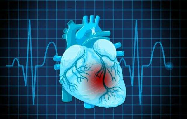 Molécula testada na USP se mostra capaz de amenizar a insuficiência cardíaca