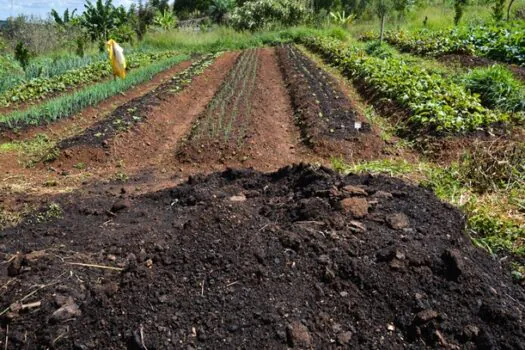 Efeitos negativos de produção de alimentos é quase 10% do PIB global