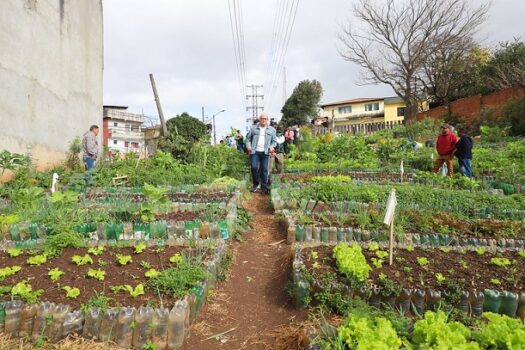 Diadema leva sua experiência de Agricultura Urbana para evento em Mauá