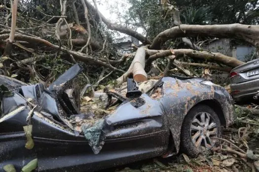 Queda de árvore atinge carros em Pinheiros, zona oeste de SP