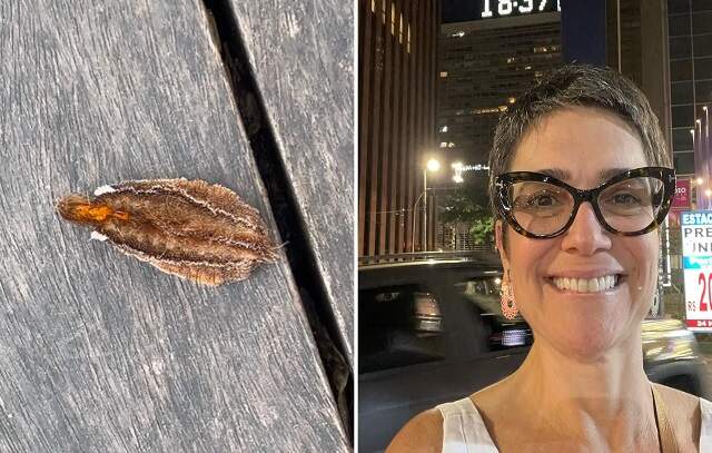 Sandra Annenberg publica foto no hospital após pisar em lagarta: 'Dor insuportável'