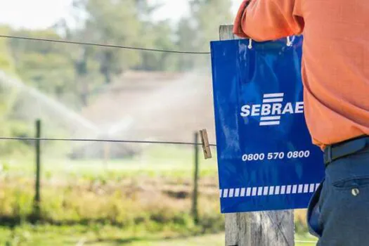 Sebrae-SP oferece vagas para produtores e produtoras rurais em programa gratuito de inovação