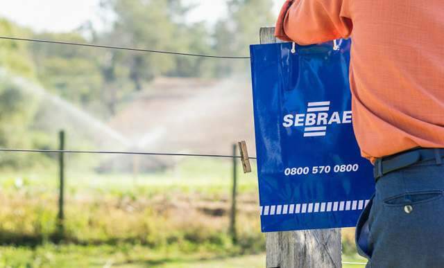 Sebrae-SP oferece vagas para produtores e produtoras rurais em programa gratuito de inovação