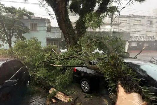 Caos pós-temporal expõe atraso de SP para lidar com eventos climáticos