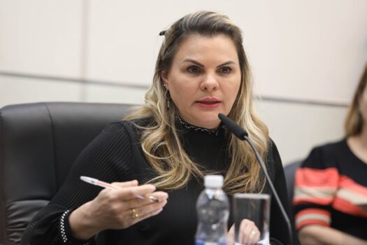 Em relatório final, deputada Carla Morando propõe indiciamento de executivos da Enel