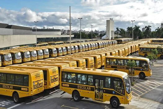 Falando de Transportes e Transportadora -Negócios aquecidos