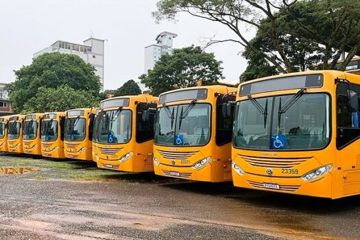 Falando de Transportes e Transportadora – Efeitos colaterais do agronegócio