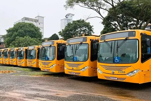 Falando de Transportes e Transportadora – Efeitos colaterais do agronegócio