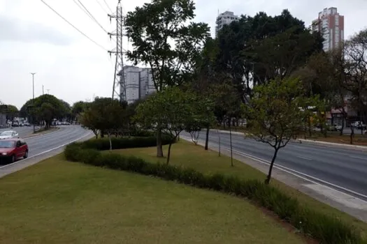 SP: Projeto que revitaliza paisagismo alcança quase 900 mil metros de áreas atendidas