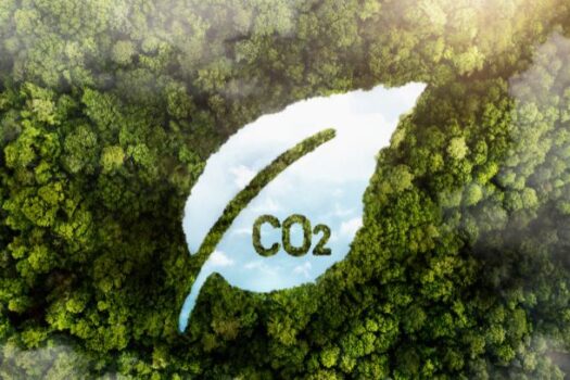 Brasil precisa aproveitar COP28 para aprimorar regulação do mercado de carbono