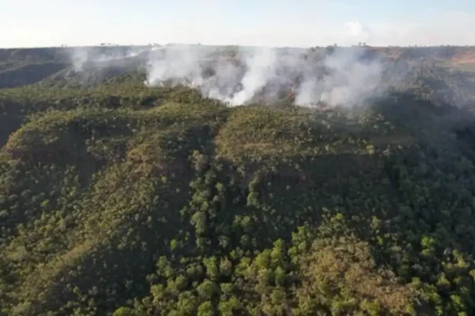 Incêndio atinge divisa do Santuário de Elefantes em Mato Grosso