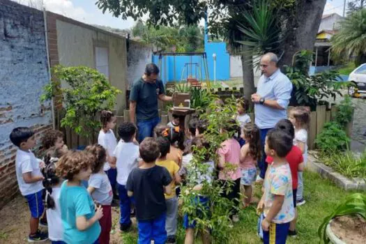 Ribeirão Pires fortalece ações de educação ambiental com entrega de colmeias de abelhas nativas