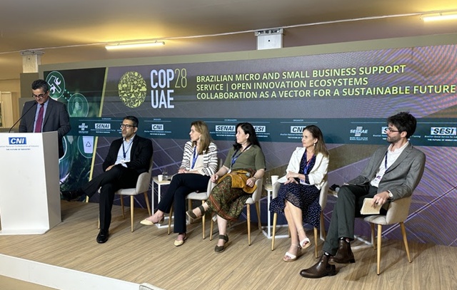 Produção de energia renovável é foco do terceiro dia de debates na COP 28, em Dubai