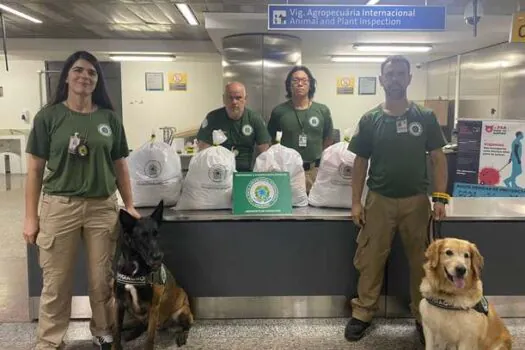 Auditores apreendem cerca de 100 quilos de embutidos, pescados e sementes no aeroporto de Guarulhos