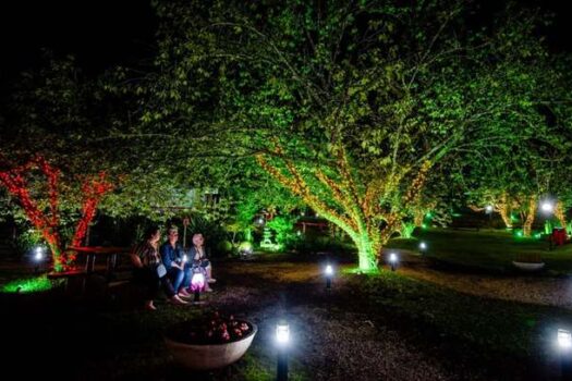 Parque da Cerejeira em Campos do Jordão promove “Natal Iluminado”