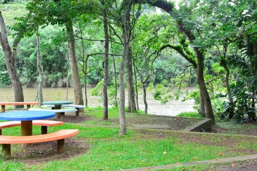 Santo André abre chamamento para retomar pedalinho do Parque do Pedroso