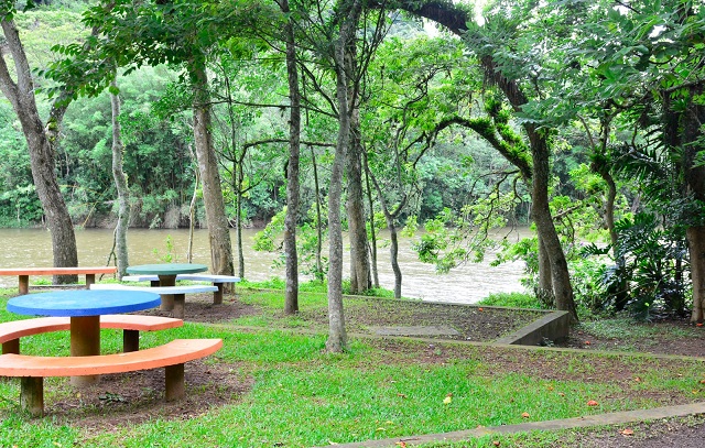 Santo André abre chamamento para retomar pedalinho do Parque do Pedroso