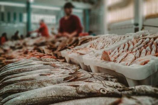 Agricultura SP participa do maior evento de pescado da América Latina