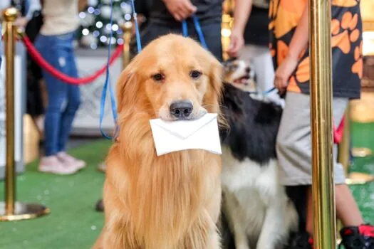 Mogi Shopping recebe autistas, idosos, crianças e pets em visitas inclusivas de Natal