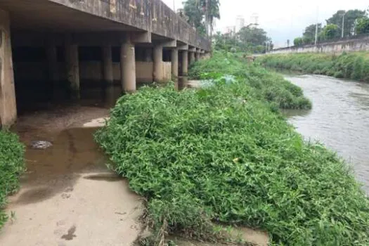 Grande ABC cobra do Estado limpeza de piscinões da região