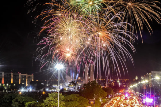 Estratégias para acalmar cães durante festas com fogos de artifício