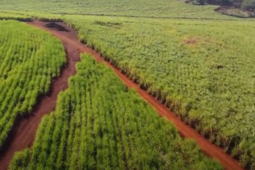 Programa Rotas Rurais coloca no mapa 35 mil propriedades que não possuíam CEP em 2023