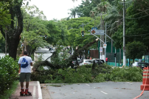 Após temporal, residências e comércios ficam sem energia em São Paulo