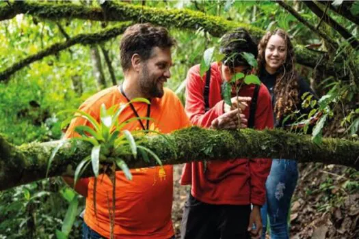 Museu da Energia e EDP oferecem diversas atividades em comemoração ao mês das férias