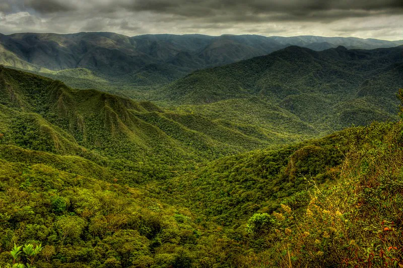 mata atlântica