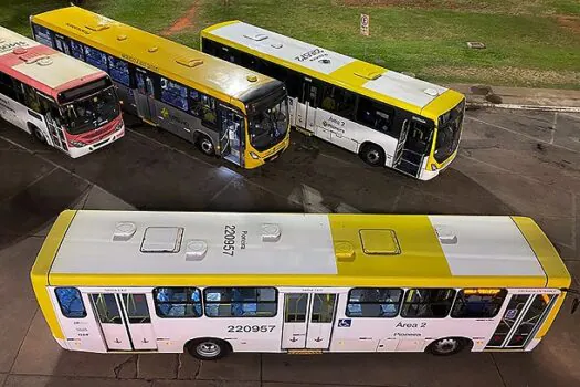 Falando de Transportes e Transportadora -Esforço coletivo