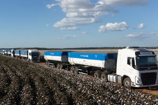 Falando de Transportes e Transportadora -De grão em grão