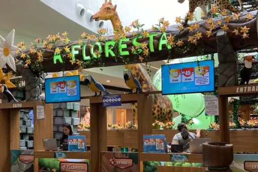 A Floresta é a nova atração infantil do Grand Plaza