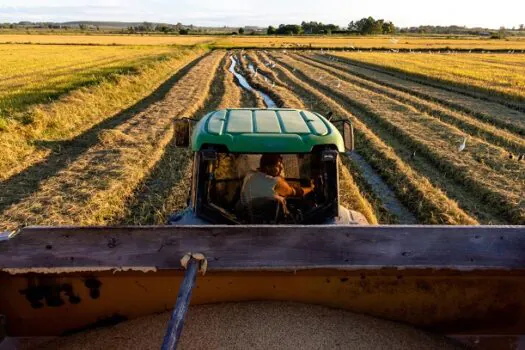 Agricultura foi única atividade com redução de empregados em 2023, mostra IBGE