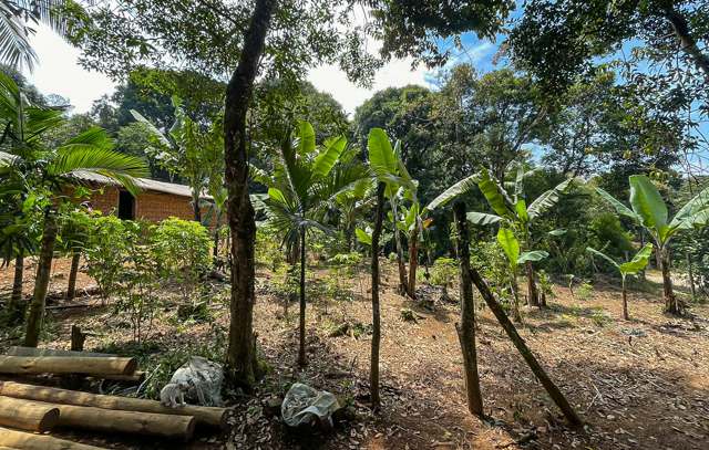 São Bernardo capta recursos para implantar sistemas agroflorestais em aldeias indígenas