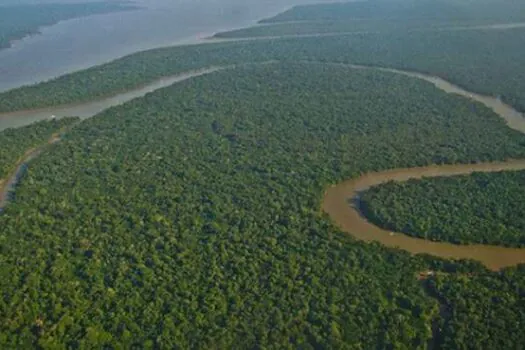 FGV promove webinar sobre presente, passado e futuro da Amazônia