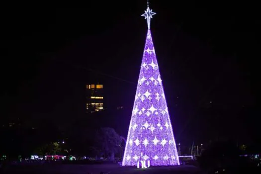 Última semana: maior árvore de Natal da cidade de São Paulo no Parque Ibirapuera se despede dos visitantes