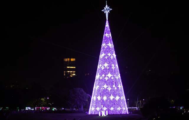 arvore-de-natal-sp