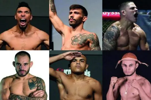 UFC Fight Night – Ankalaev x Walker 2: informações e onde assistir o evento