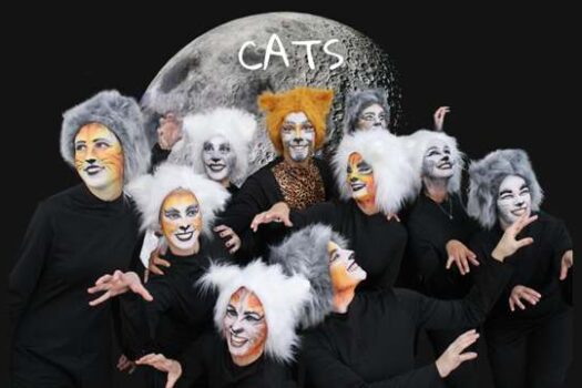 Emovere Estúdio de Dança apresenta espetáculo Cats no Teatro Gamaro